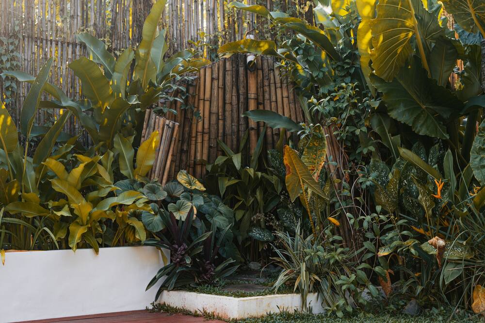 Photo of Outdoor in Catangnan