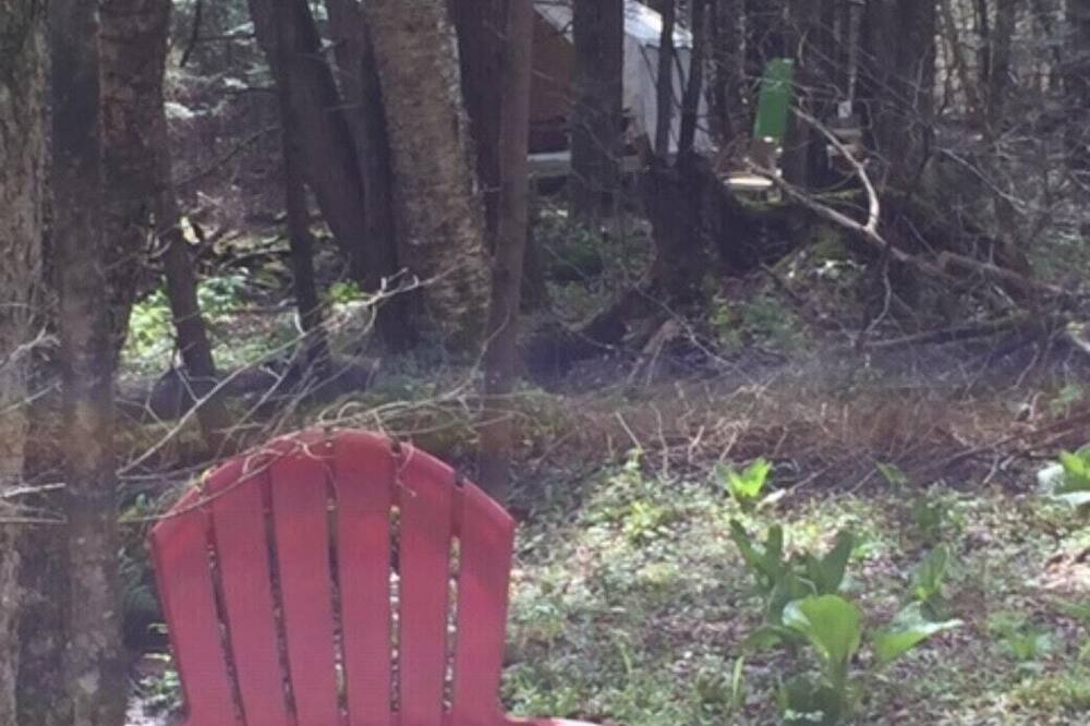 Photo of Others in Smithville Flats