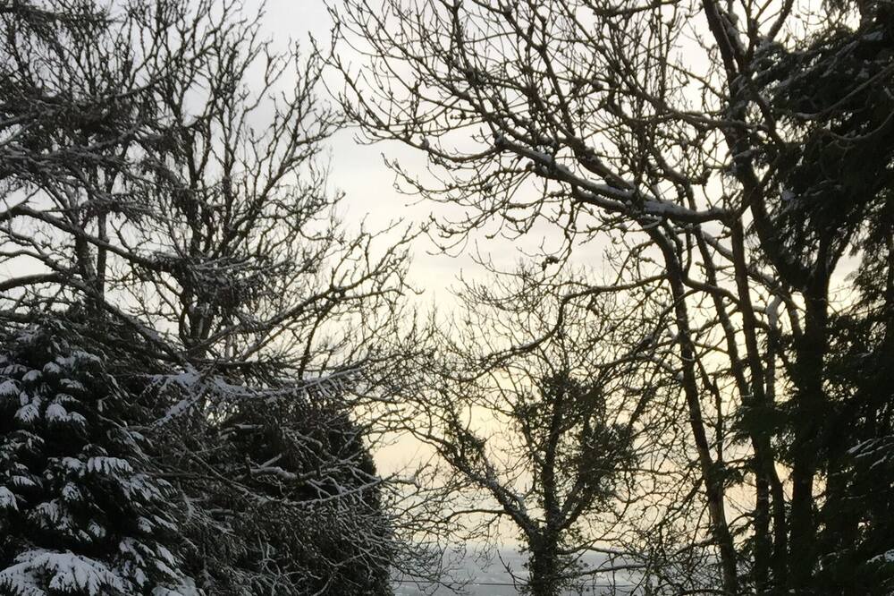 Photo of Outdoor in Jamestown