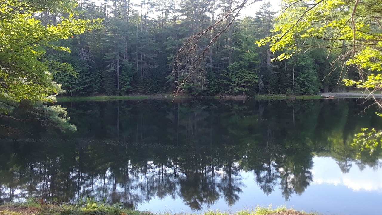 Photo of Outdoor in Brant Lake
