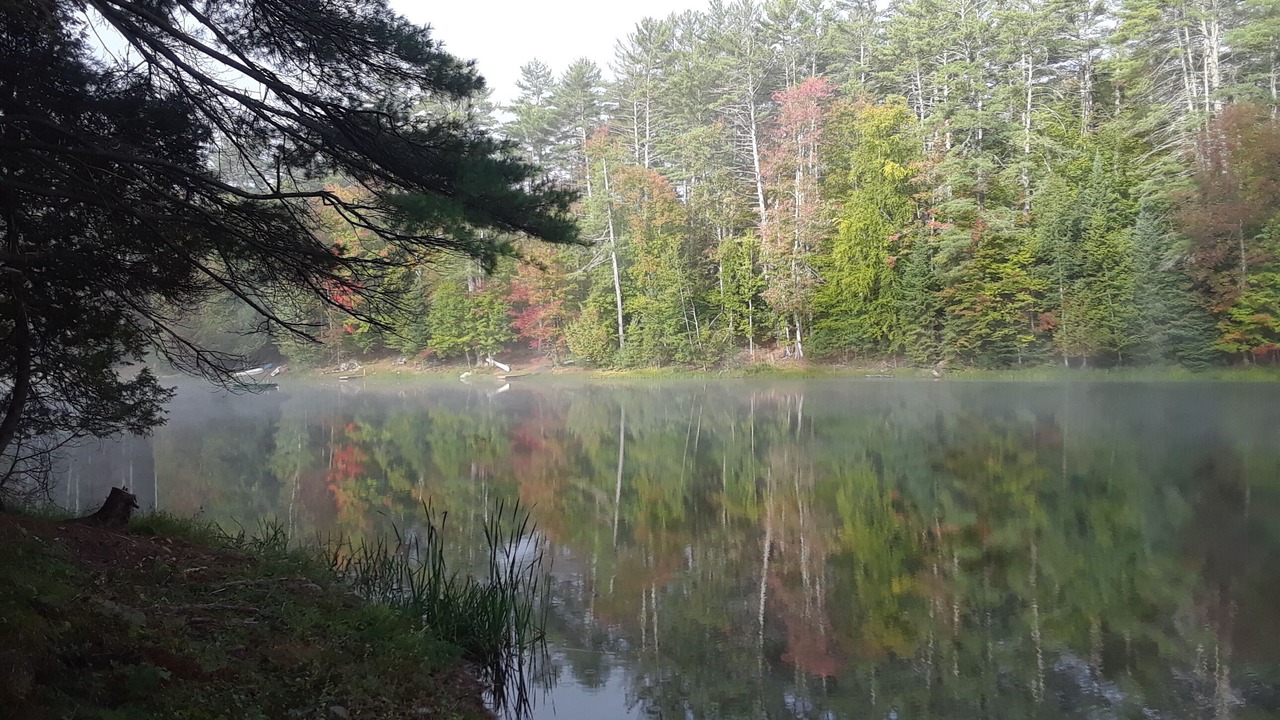 Photo of Outdoor in Brant Lake