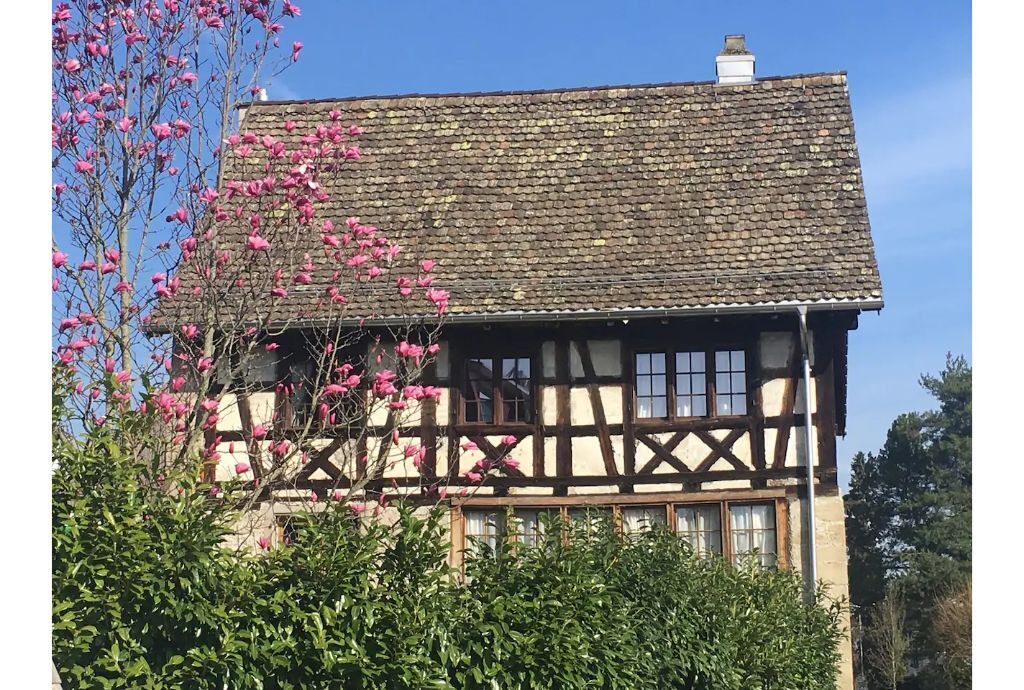 Photo of Outdoor in Horgen District