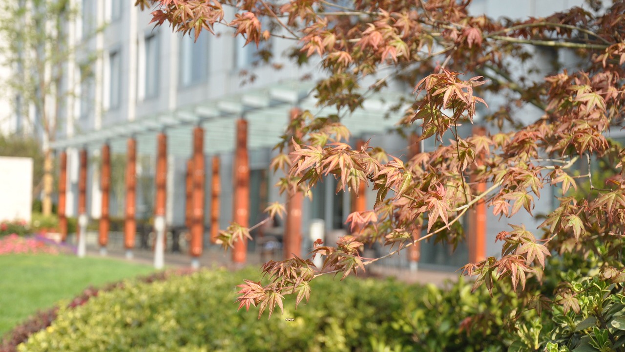 Photo of Outdoor in Jiangning