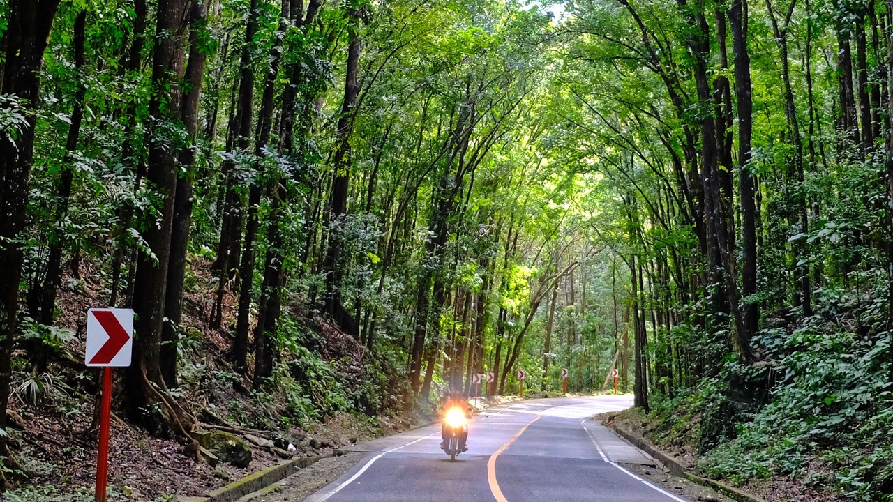 Photo of Others in Loboc