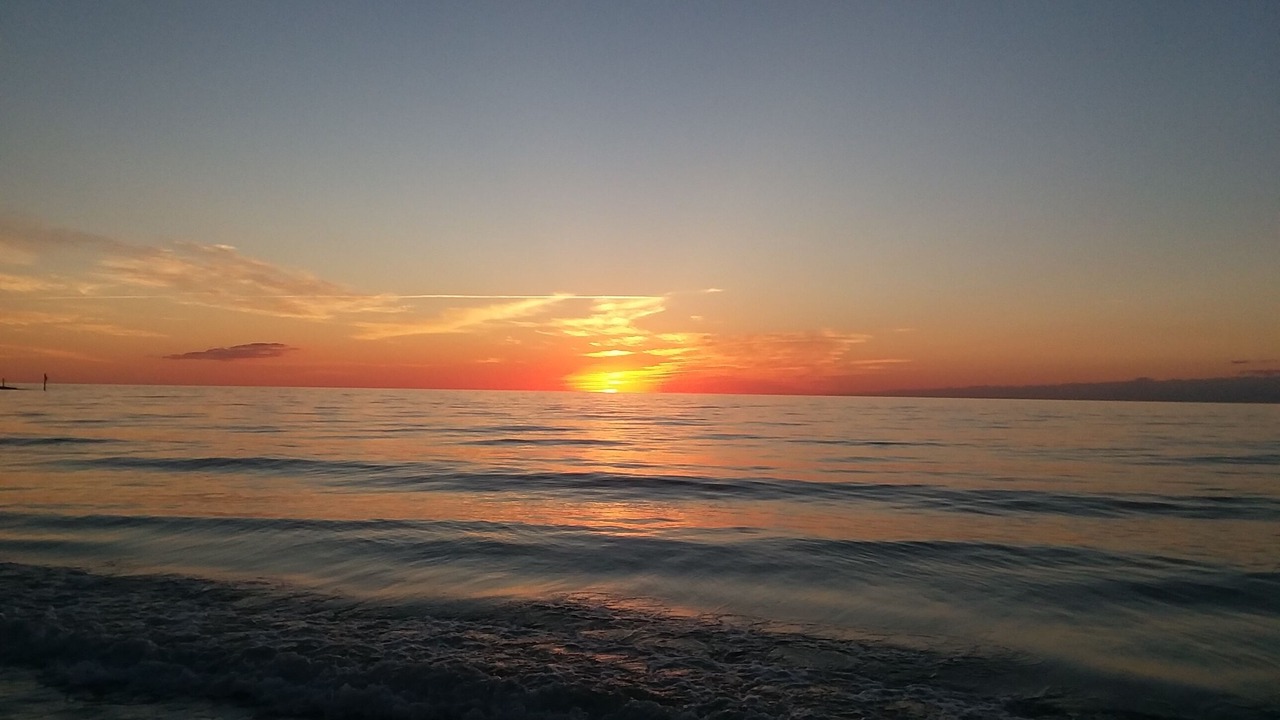 Photo of Others in Marco Island