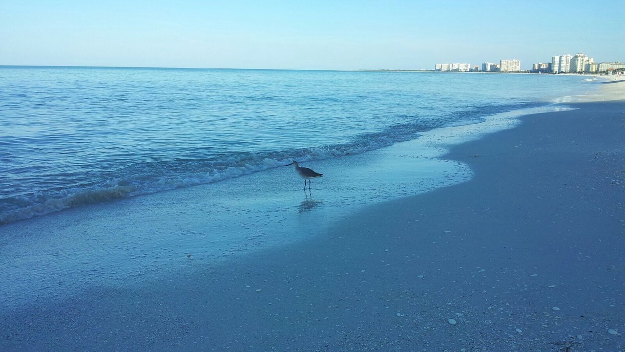 Photo of Others in Marco Island