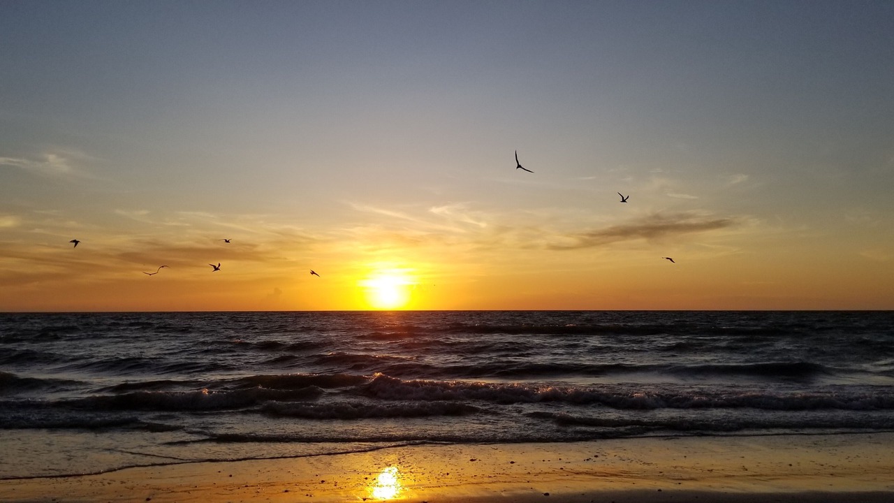 Photo of Others in Marco Island