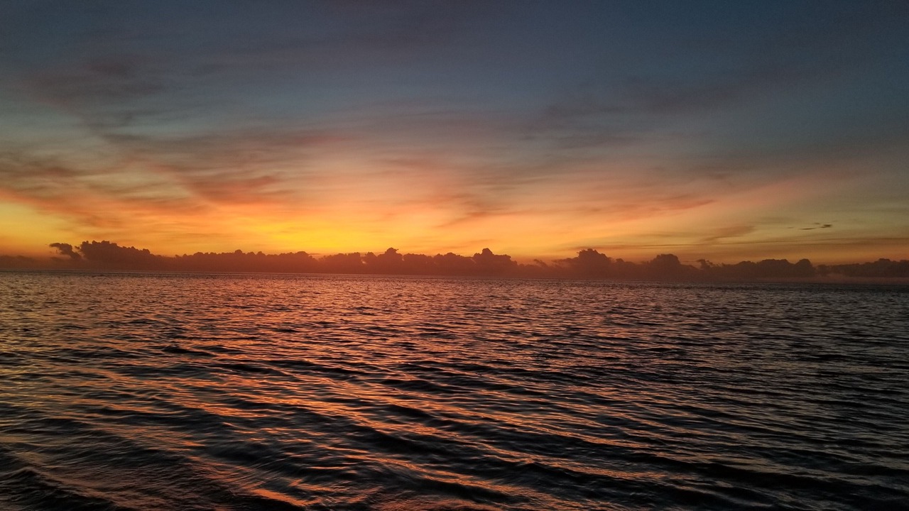 Photo of Others in Marco Island