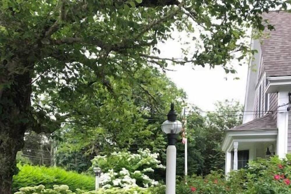 Photo of Others in Chatham