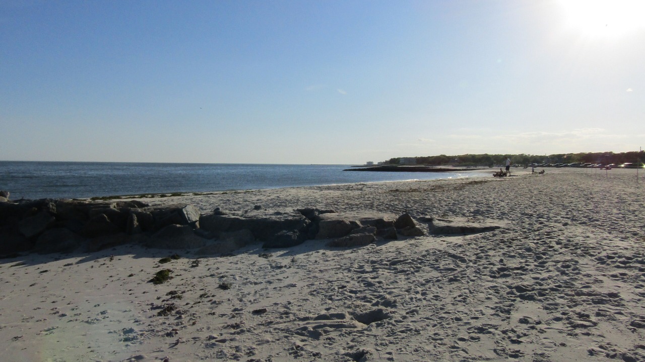 Photo of Others in East Harwich