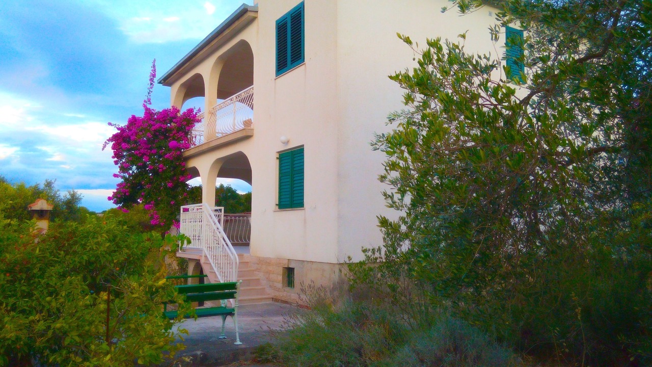 Photo of Outdoor in Necujam