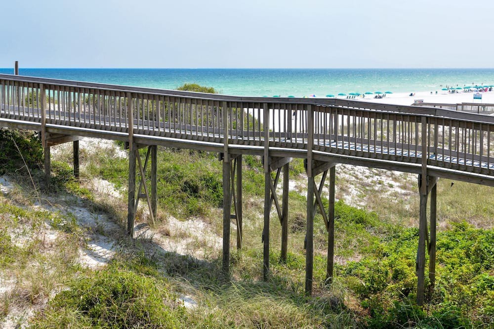 Photo of Others in Gulf Pines