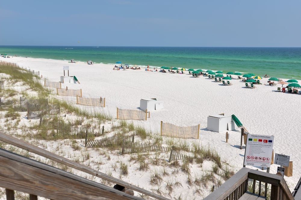 Photo of Others in Gulf Pines