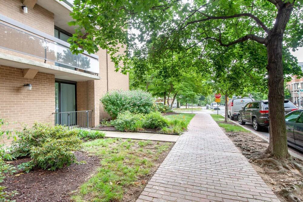 Photo of Outdoor in Foggy Bottom