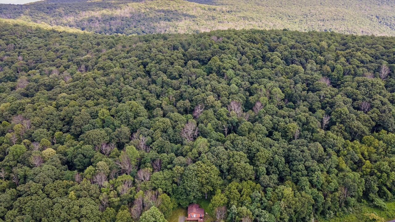 Photo of Outdoor in Stanley