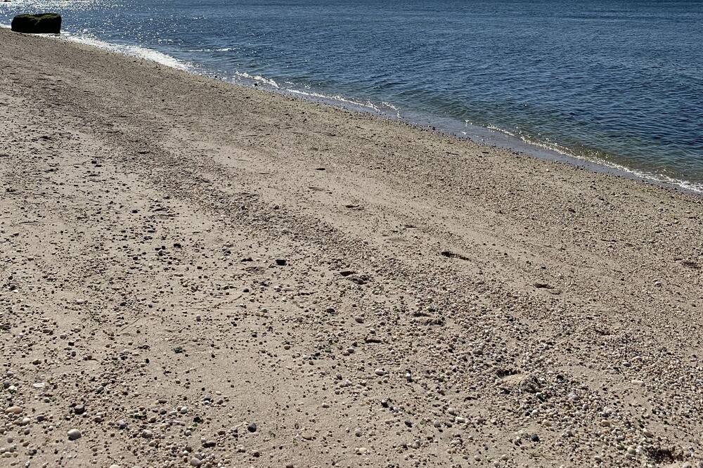 Photo of Others in Baiting Hollow