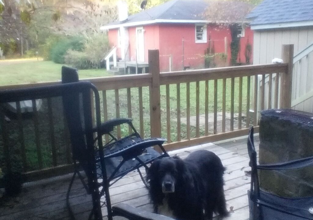 Photo of Outdoor in Jamesville