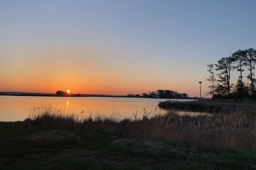 Photo of Others in Piney Point