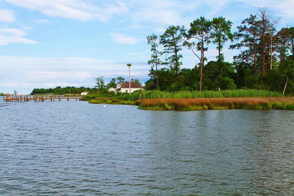 Photo of Others in Piney Point