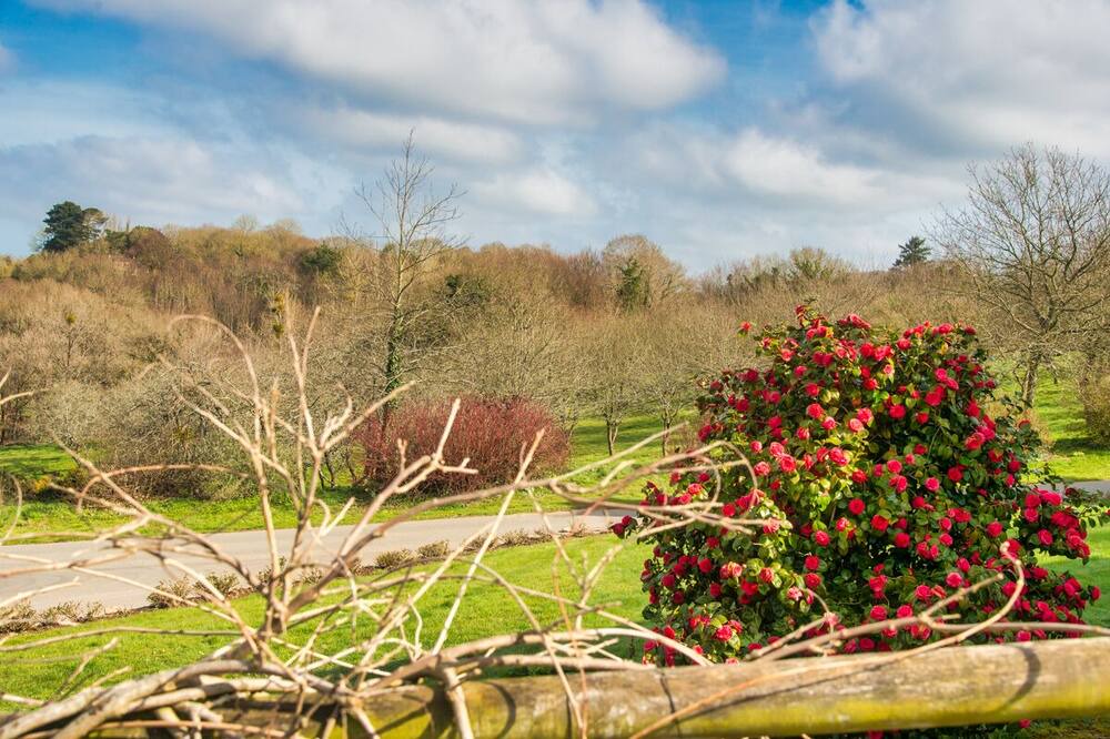 Photo of Outdoor in Plouegat-Moysan
