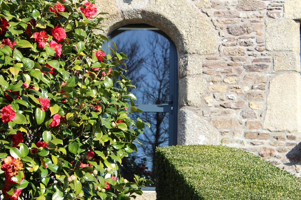 Photo of Outdoor in Plouegat-Moysan