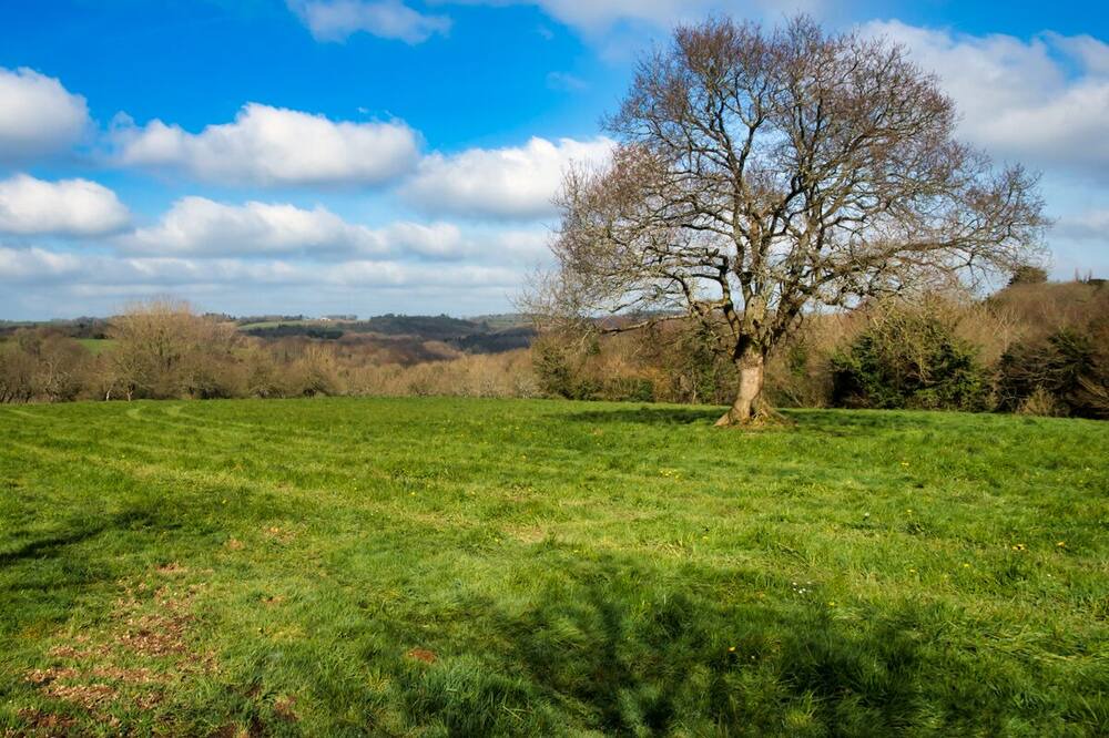 Photo of Outdoor in Plouegat-Moysan