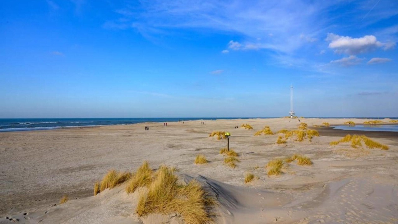 Photo of Others in 's-Gravenzande