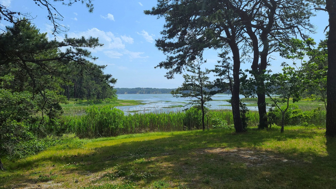 Photo of Outdoor in Wellfleet