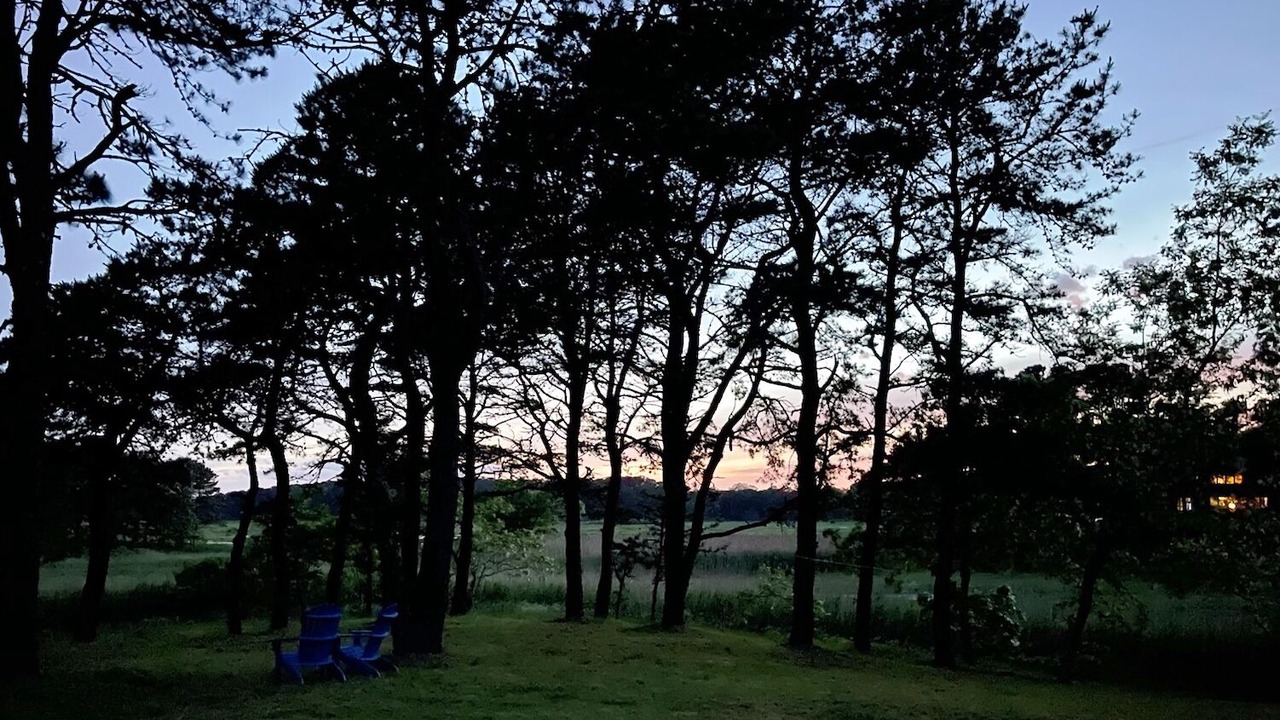 Photo of Outdoor in Wellfleet