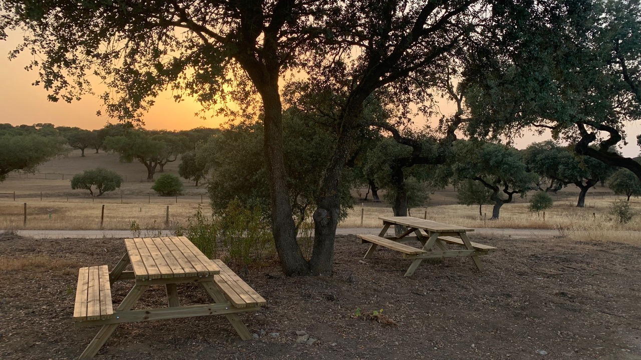 Photo of Outdoor in Evoramonte