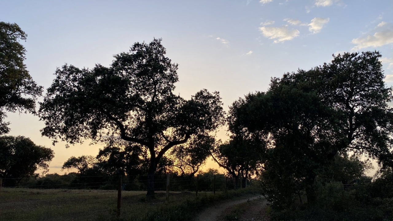 Photo of Outdoor in Evoramonte