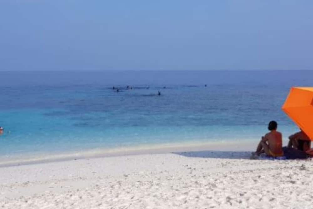 Photo of Others in Thulusdhoo Island