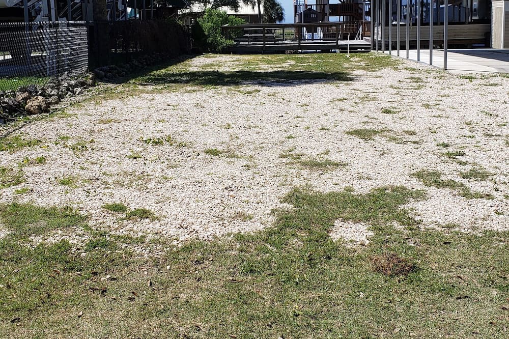 Photo of Outdoor in Keaton Beach