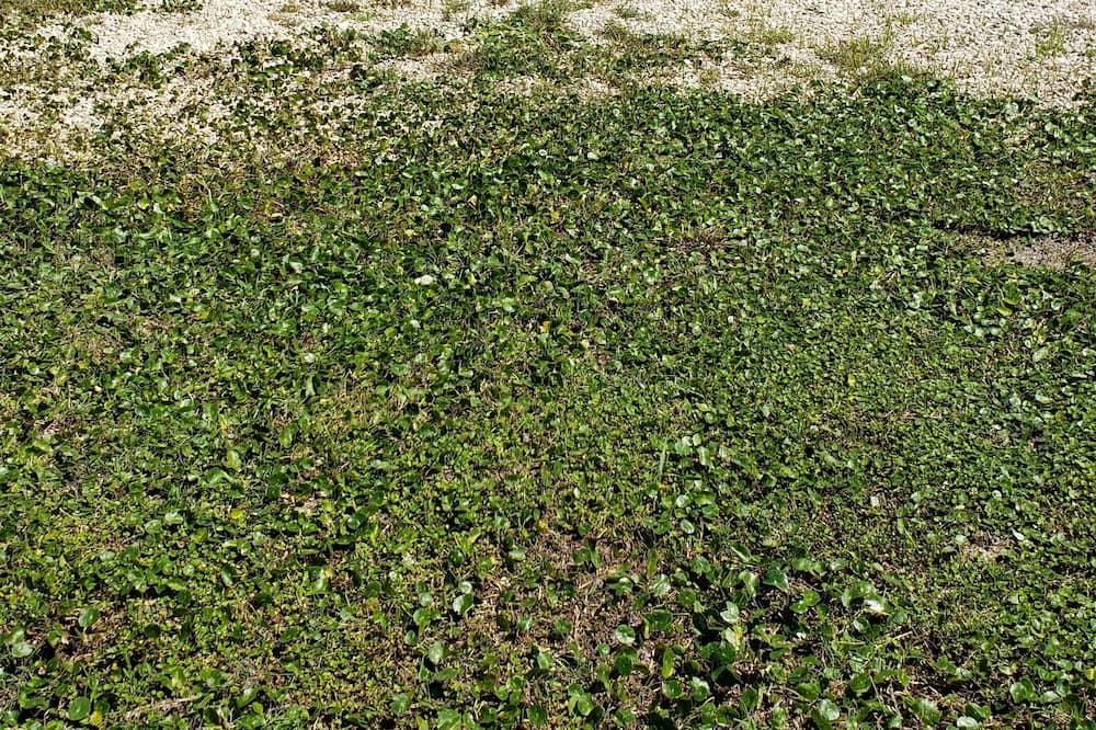 Photo of Outdoor in Keaton Beach