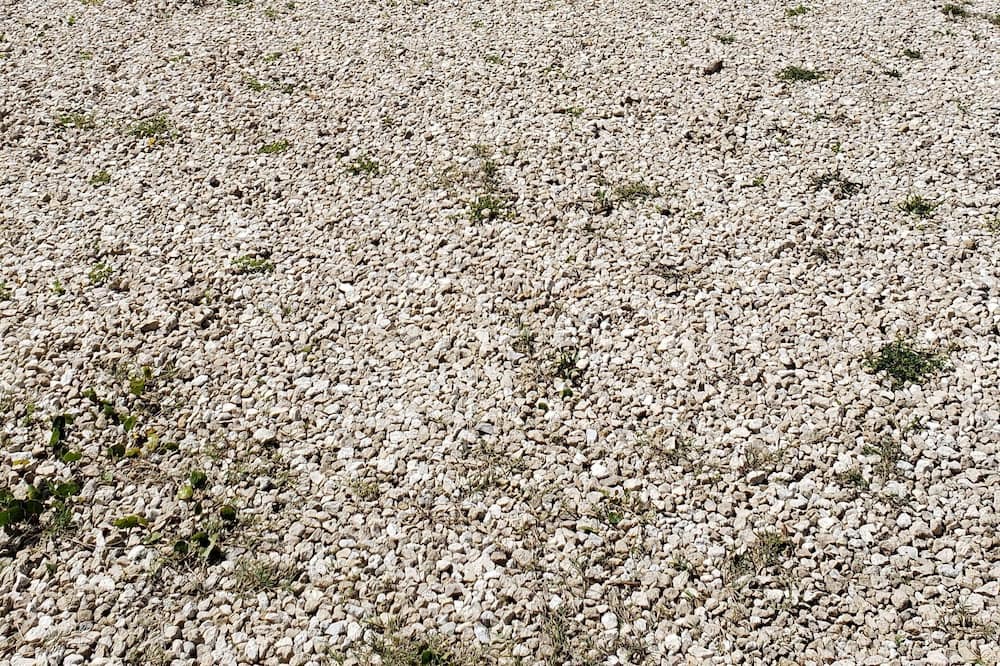 Photo of Outdoor in Keaton Beach