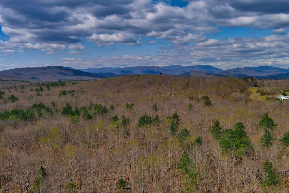 Photo of Outdoor in Haywood