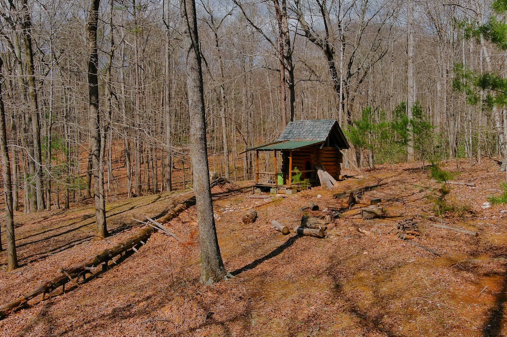 Photo of Outdoor in Haywood