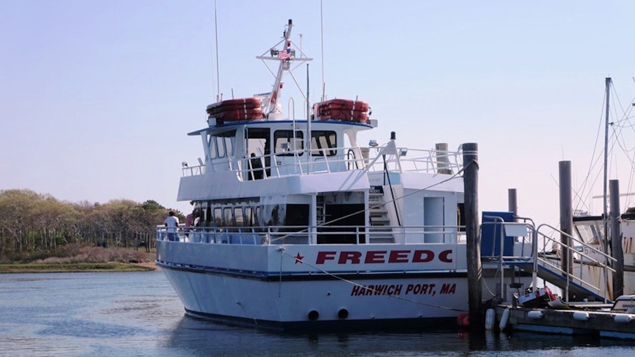 Photo of Others in Harwich Port