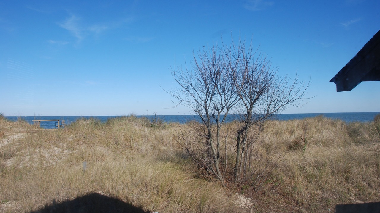 Photo of Outdoor in Cottage Line