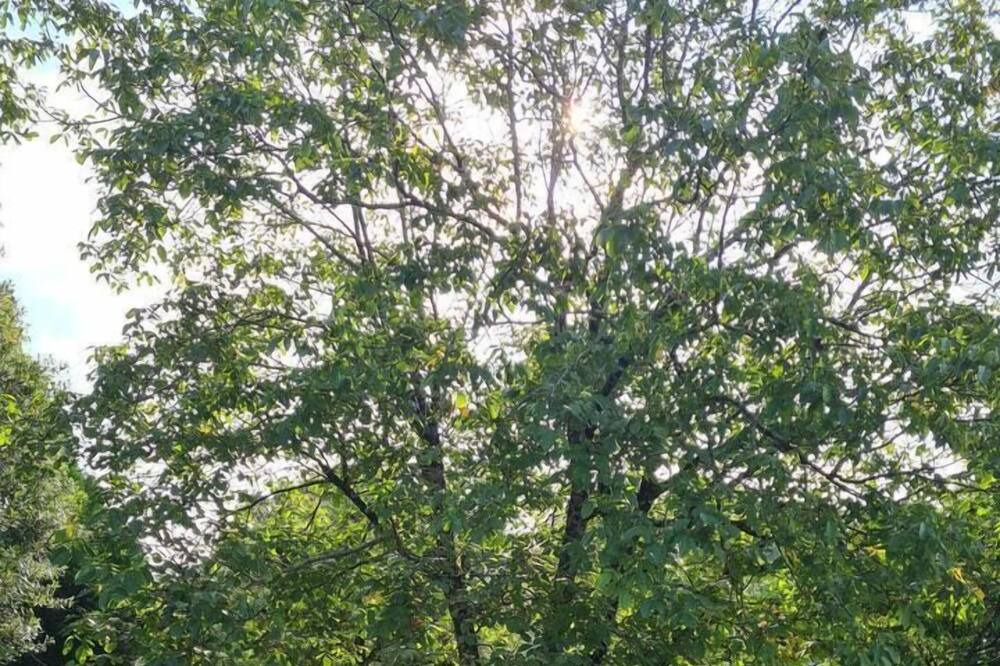 Photo of Outdoor in Theix-Noyalo