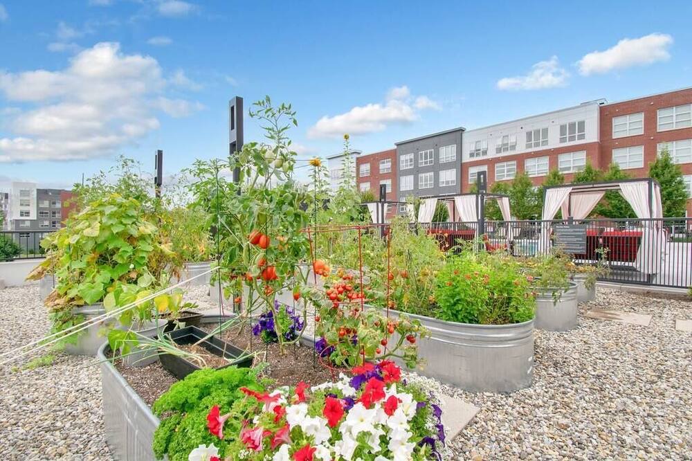 Photo of Outdoor in Black Rock Historic District