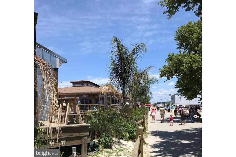 Photo of Outdoor in Colonial Beach