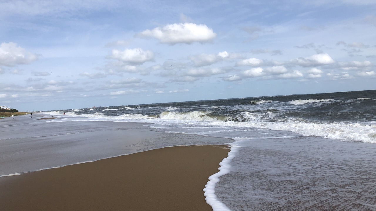 Photo of Others in East Ocean View