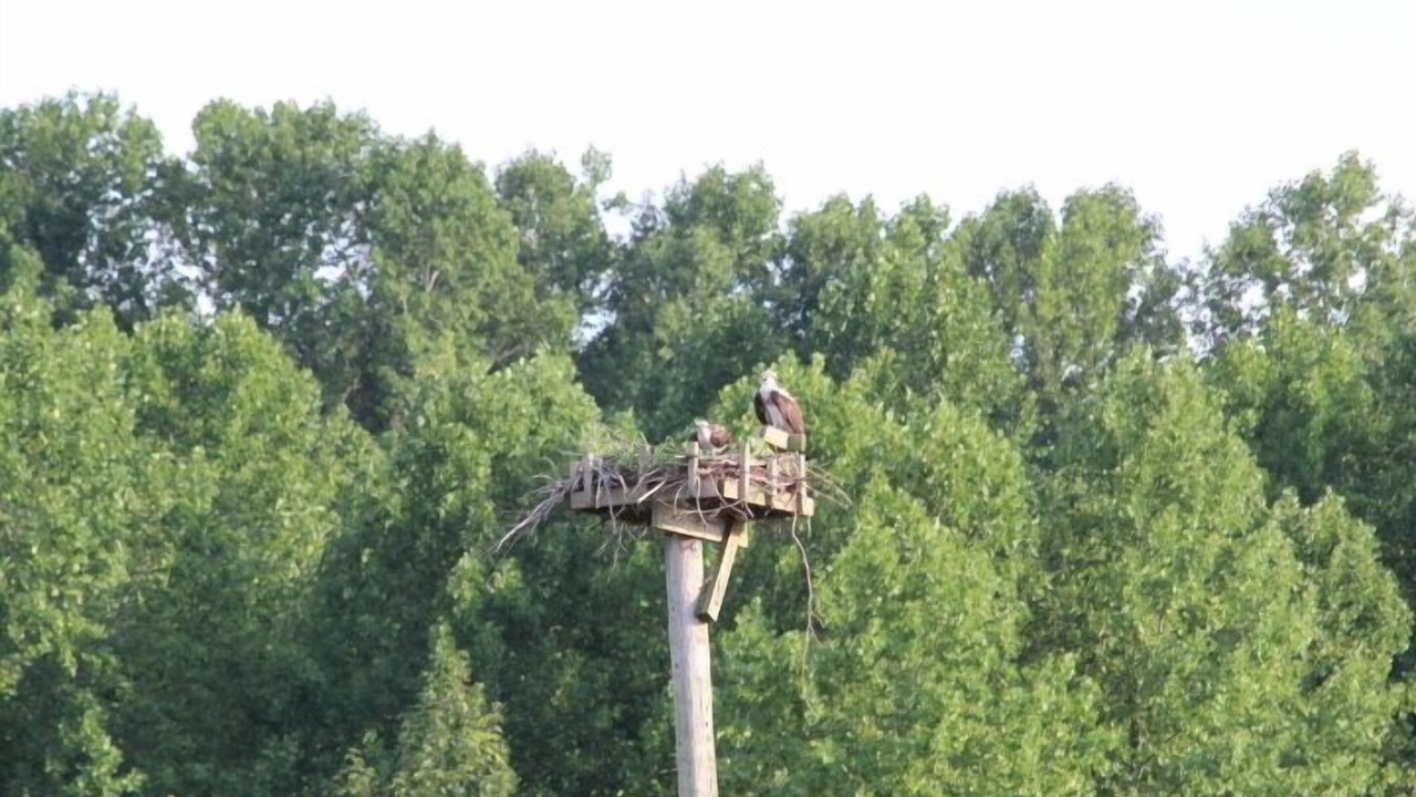 Photo of Others in Schnellville