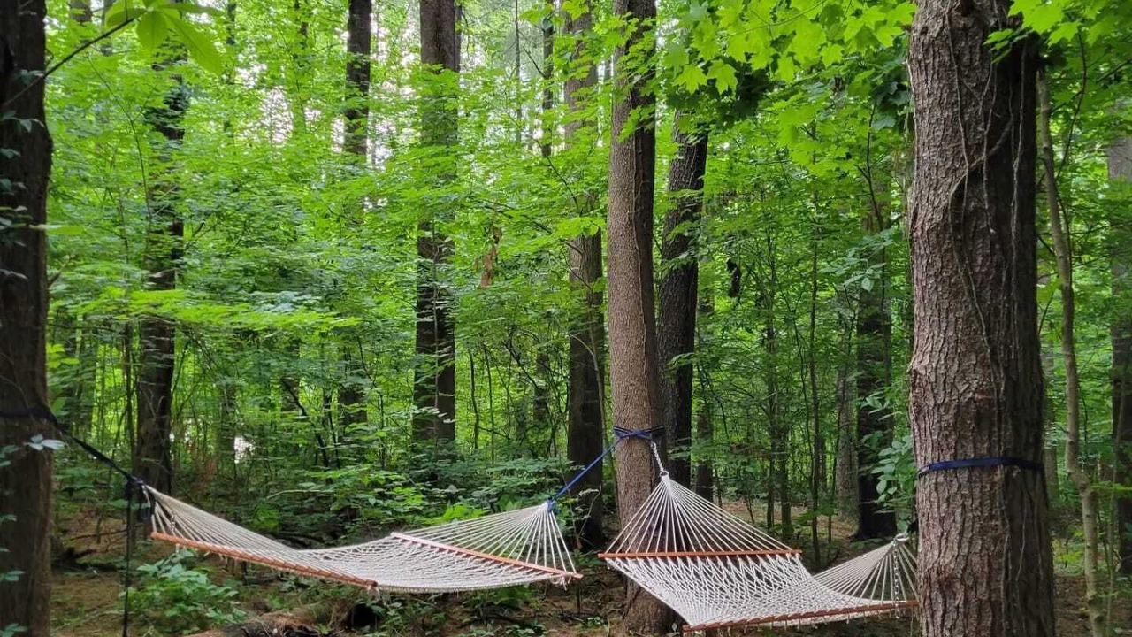 Photo of Outdoor in Schnellville