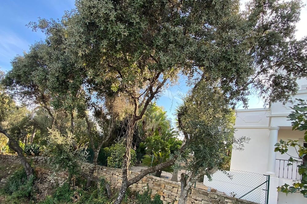 Photo of Outdoor in Quinta das Raposeiras