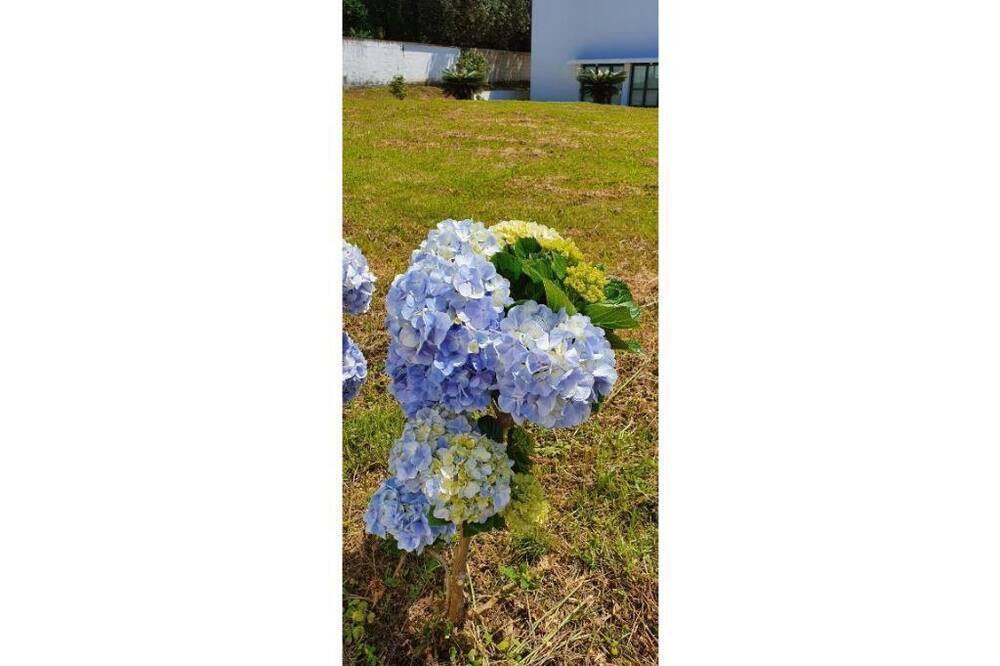 Photo of Outdoor in Ponta Delgada