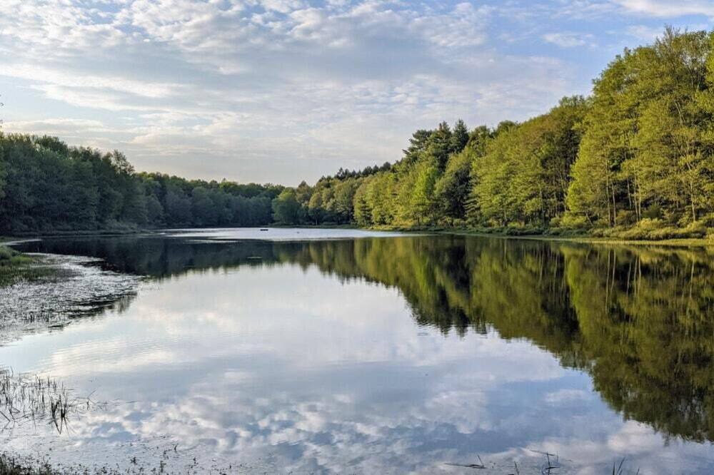 Photo of Others in Kauneonga Lake