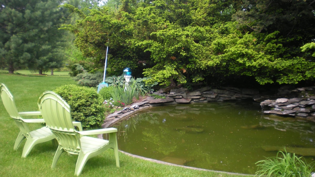 Photo of Outdoor in Lodi