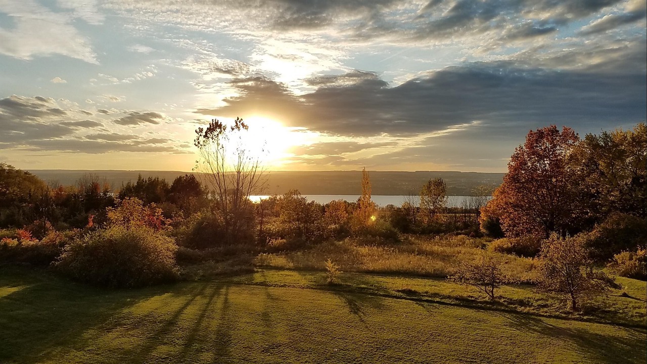 Photo of Outdoor in Lodi